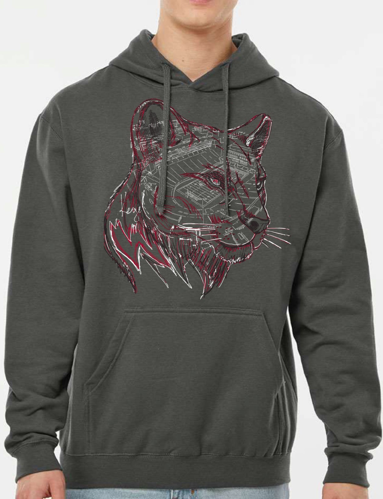 Thinking About Football Cougar