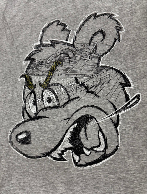 Griz Thinking About Football